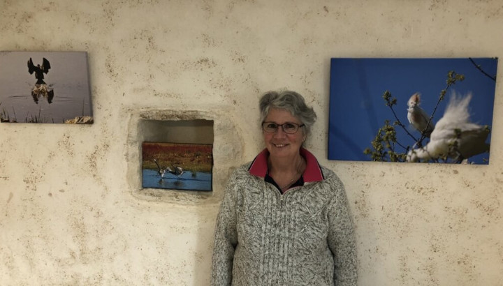 Marie-Laure Bulteau expose ses photos naturalistes à la RNR Marais de la Vacherie