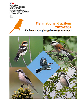 PNA en faveur des pies-grièches