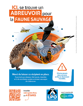 Affichette A4 "Des abreuvoirs pour la faune sauvage"