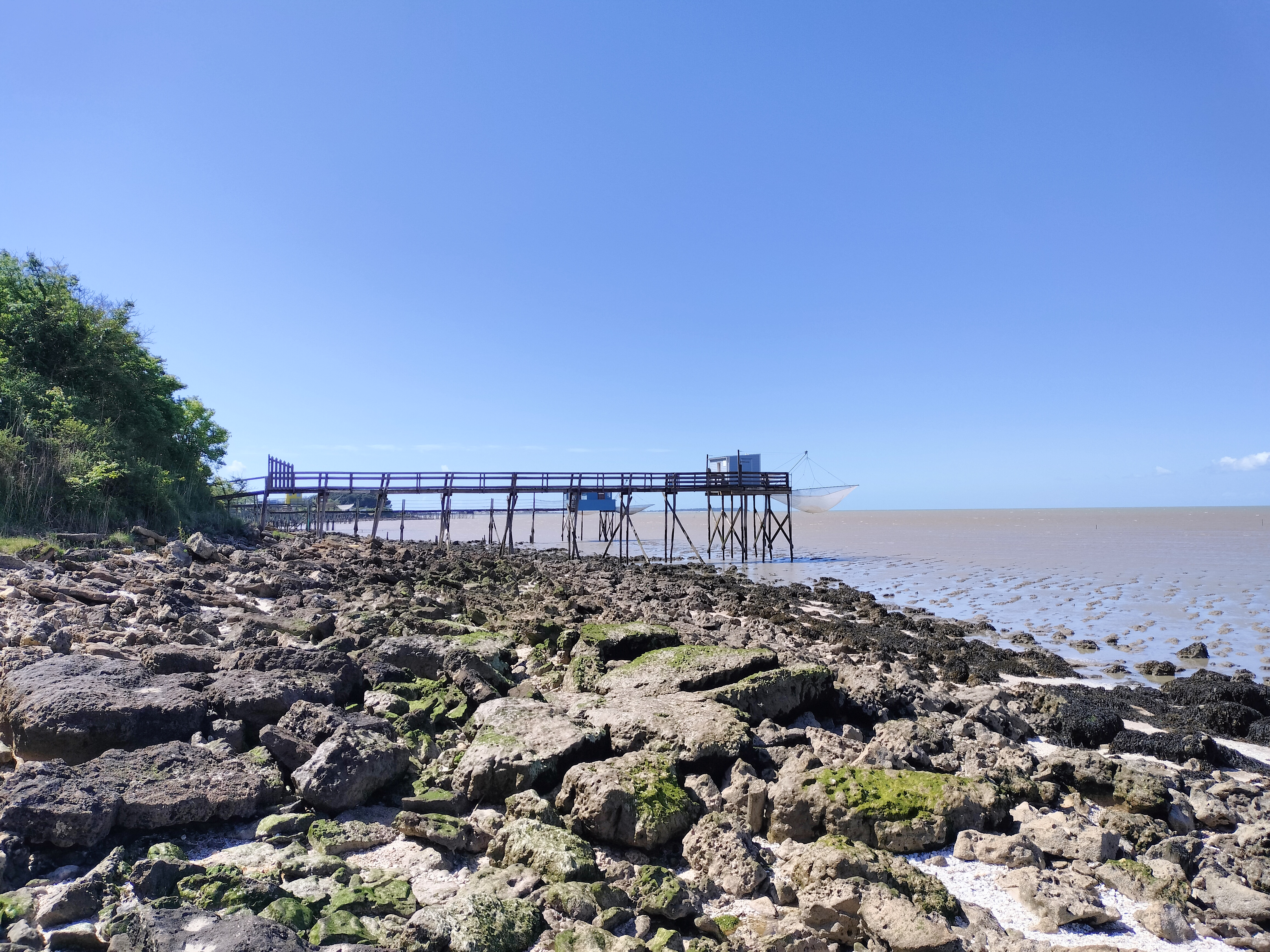 Le Magnou © Réserve naturelle de la baie et du marais d'Yves