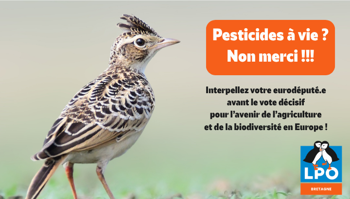Mobilisation contre « l'Omnibus Pesticides » qui menace la biodiversité en Europe