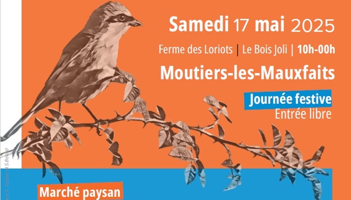 Jumelles et bottes de foin
