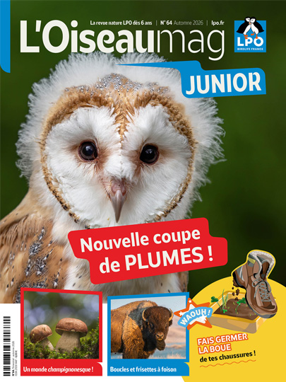 L'OISEAU MAG Junior
