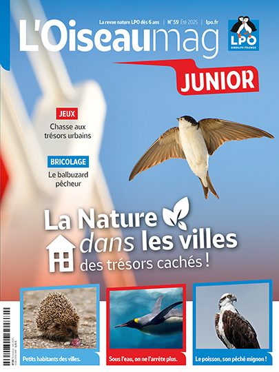 L'OISEAU MAG Junior