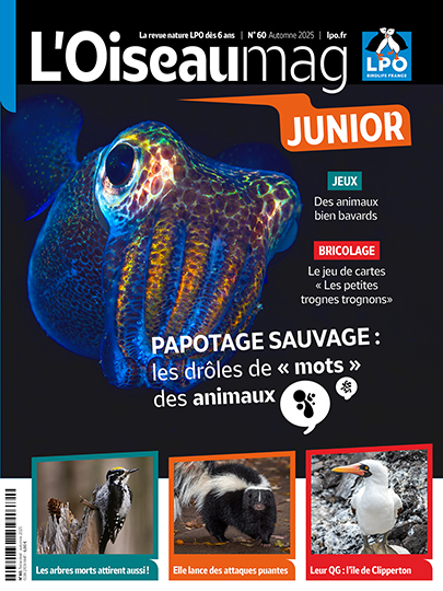 L'OISEAU MAG Junior