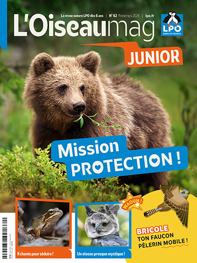 L'OISEAU MAG Junior