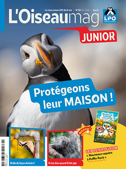 L'OISEAU MAG Junior