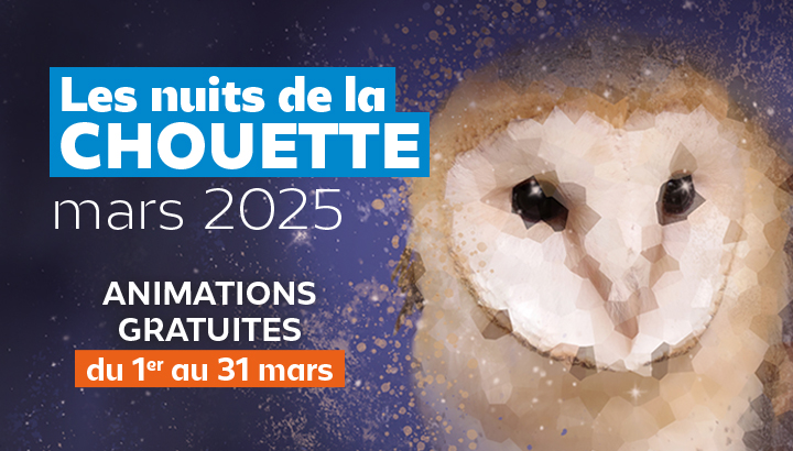 Les 30 ans des Nuits de la Chouette : un événement nocturne incontournable !
