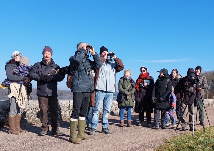 Observation des oiseaux d'eau de l'étang de Fleury-la-Tour à Tintury