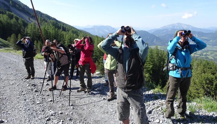 L’offre de formation naturaliste 2024 est en ligne !