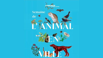 Dunkerque – Semaine de l’animal en ville