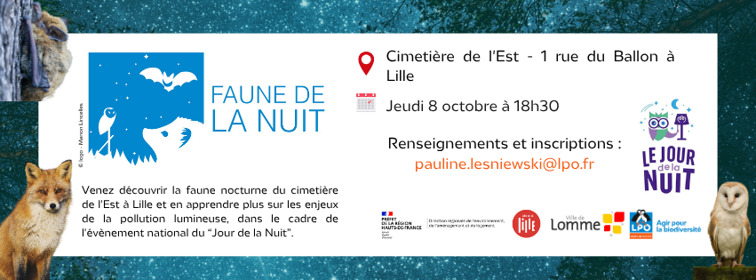 Faune de la nuit - "Jour de la nuit"