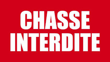 Interdire la chasse sur son terrain : la nouvelle procédure à suivre
