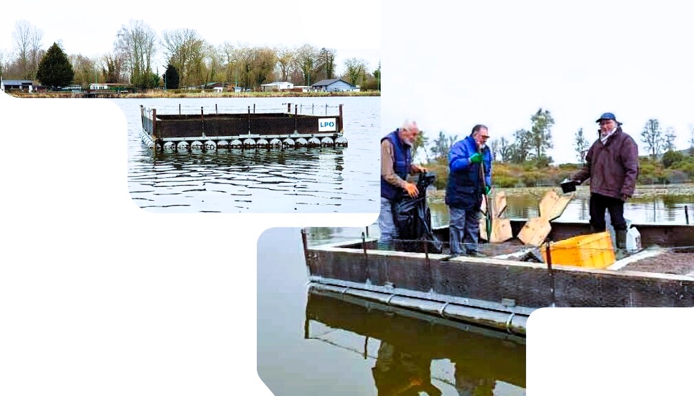 Action bénévole : Restauration d'un radeau à Sternes