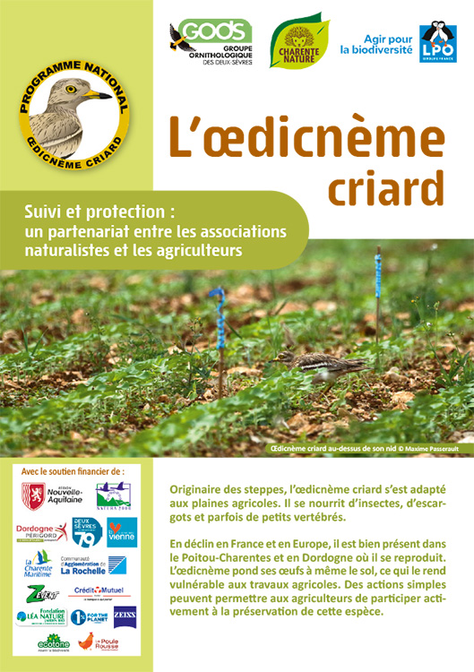L'œdicnème criard : suivi et protection