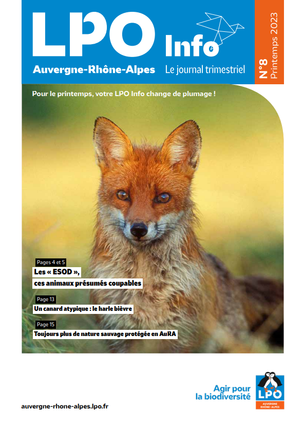 Page de garde du LPO Info n°8 de la LPO Auvergne-Rhône-Alpes