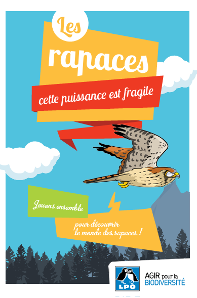 Les rapaces, cette puissance est fragile