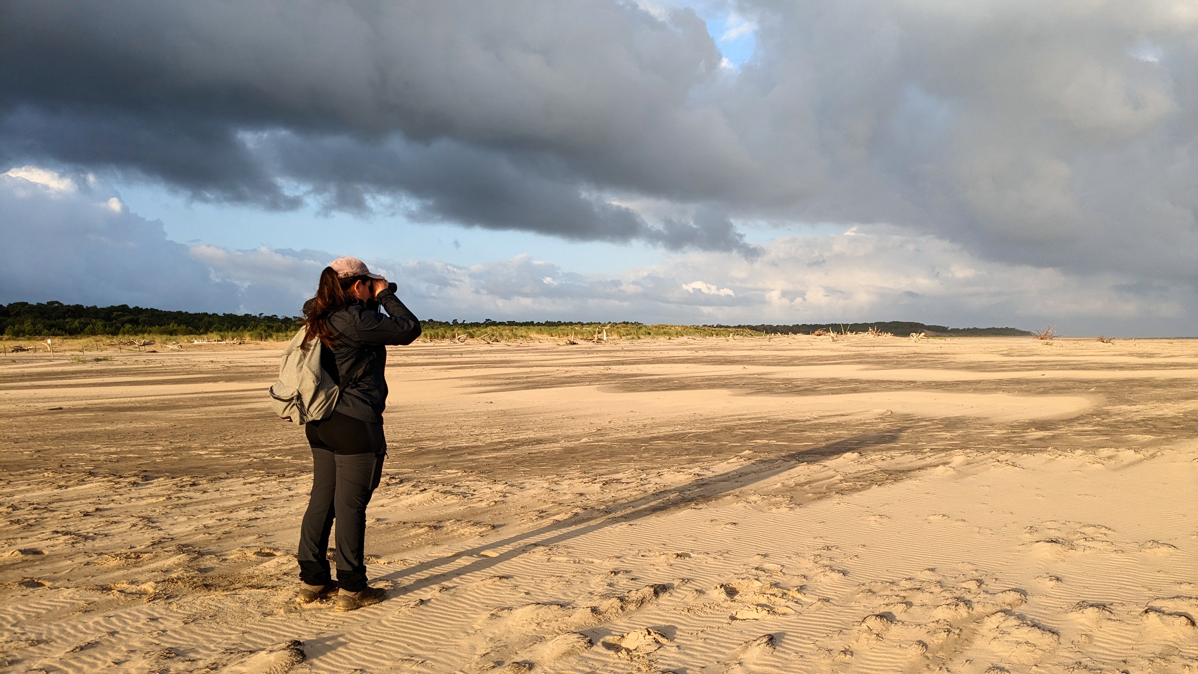 Sortie ornitho au Galon d'Or