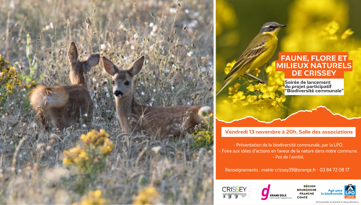 Faune, flore & milieux naturels de Crissey