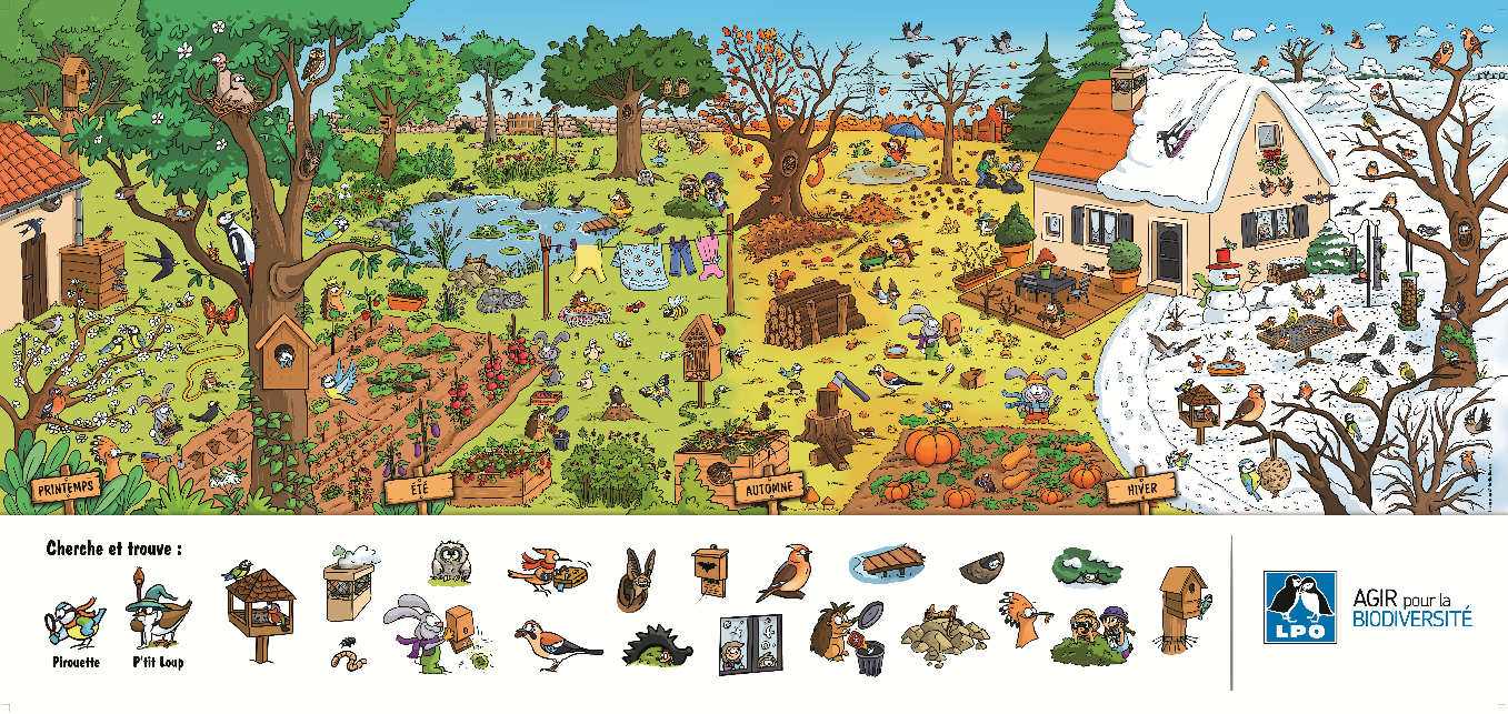 Biodiversité : cherche et trouve ces éléments dans le jardin !