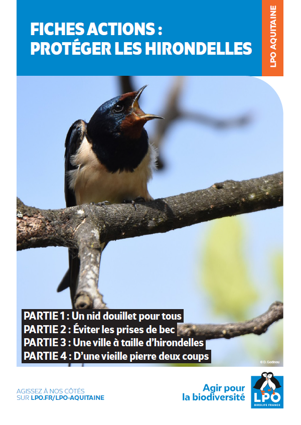 Fiches actions : Protéger les <strong>hirondelle</strong>s