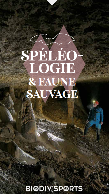 Spéléologie et faune sauvage