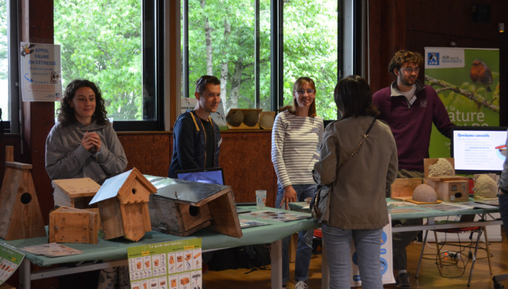 Journée Biodiv' 2024 de la LPO Bretagne : retour sur cet évènement pour l'arbre et la haie !