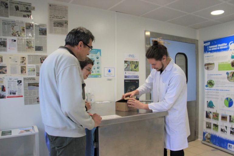 relai d'un oiseau blessé entre des rapatrieurs et un soigneur d'un centre de soins
