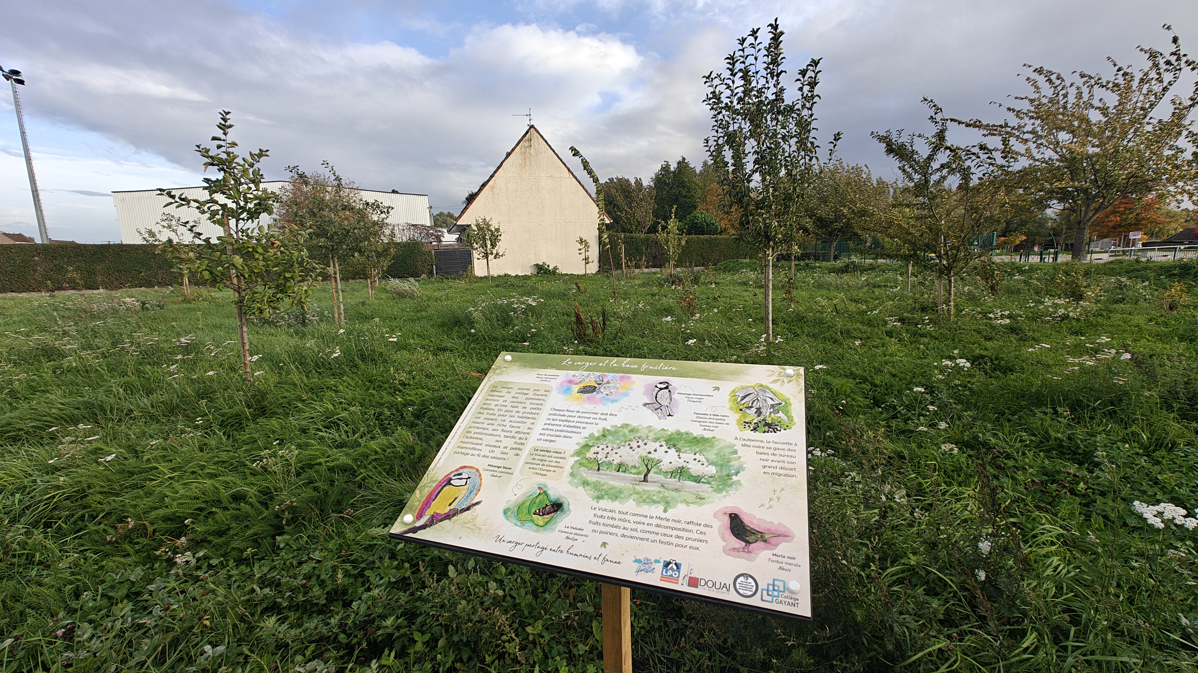 À Frais-Marais, la nature reprend sa place au cœur du quartier !