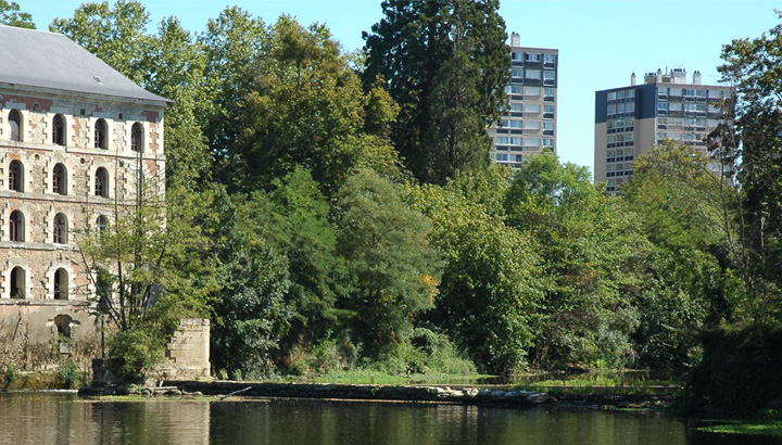 Élections municipales : je porte la voix de la nature !