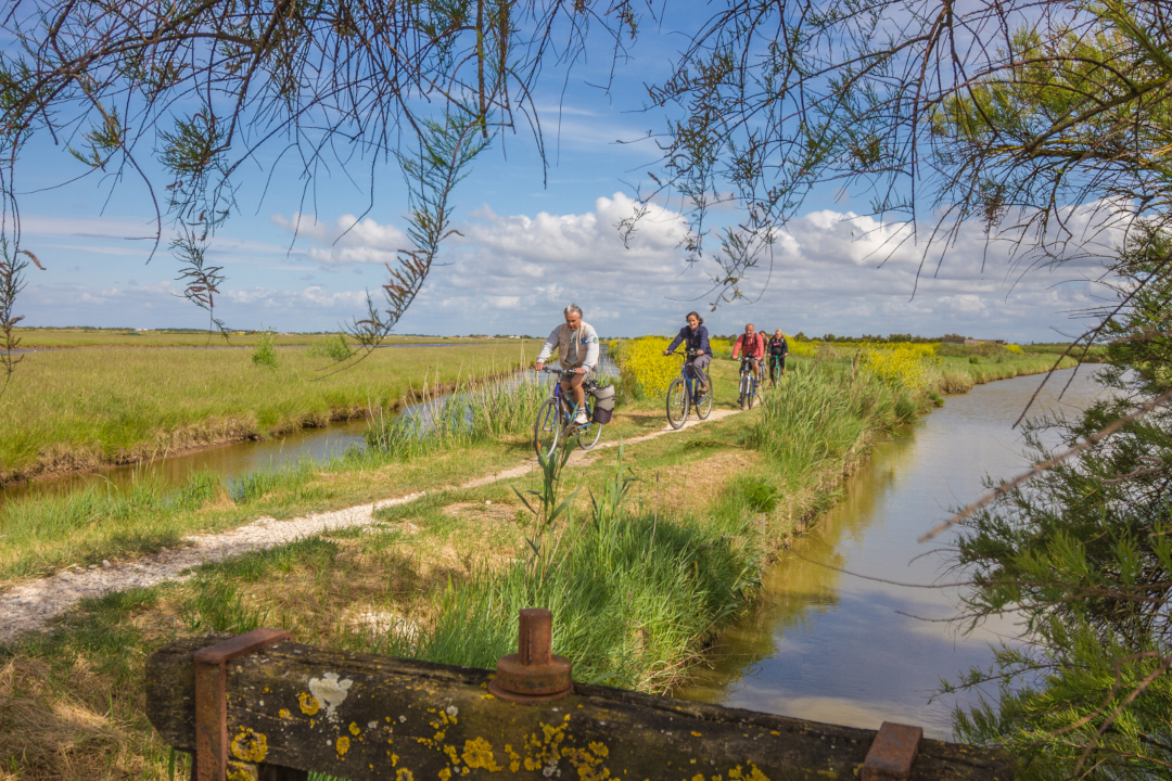 Promenade à vélo dans le marais de Fouras