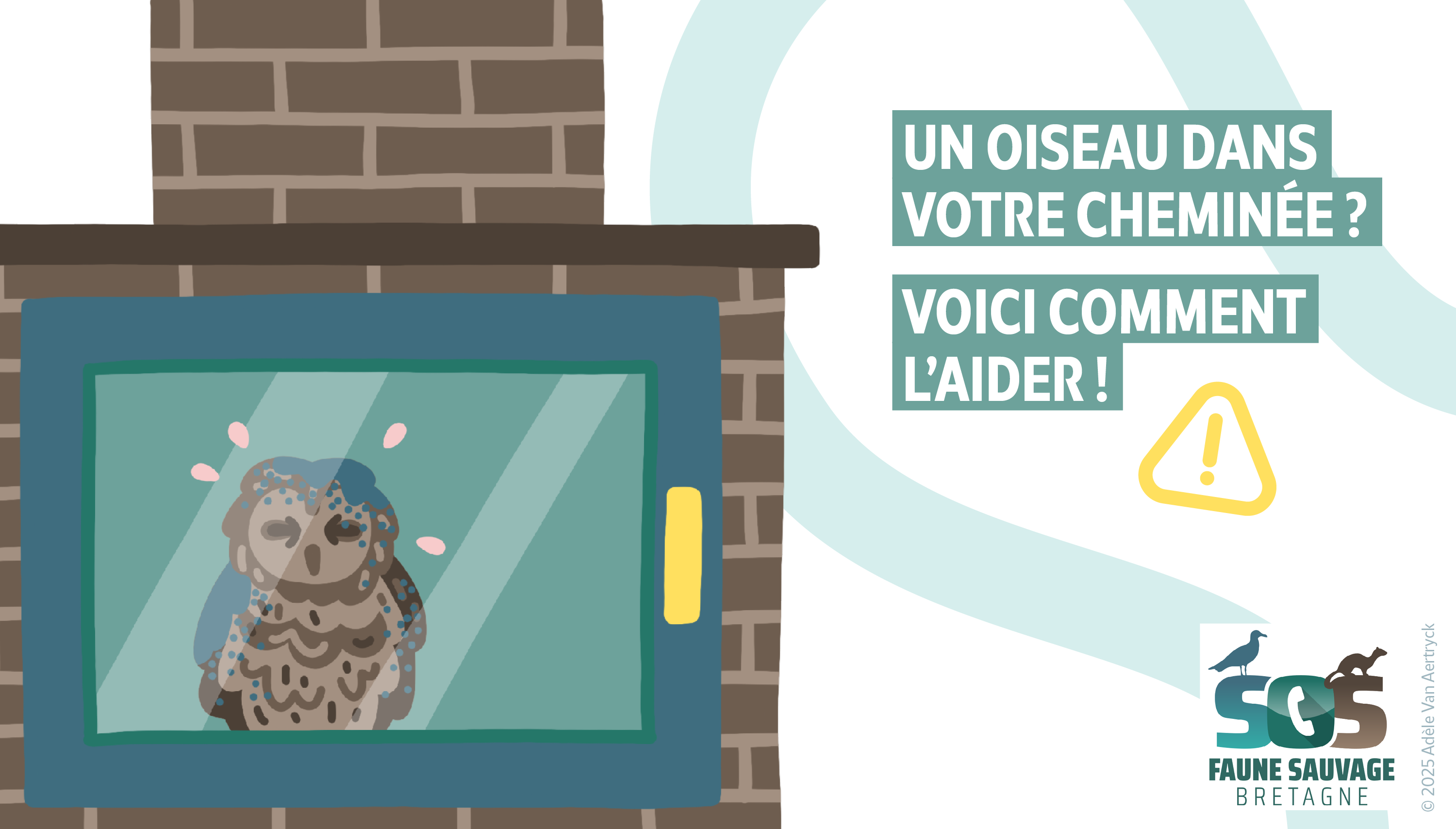 Un oiseau dans votre cheminée ? Voici comment l’aider !