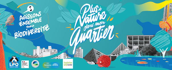 Plus de nature dans mon quartier : un automne pour les curieux !