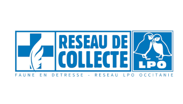 Logo Réseau de collecte