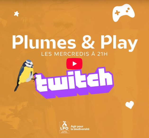 Plumes & Play : la LPO Auvergne-Rhône-Alpes débarque sur Twitch !