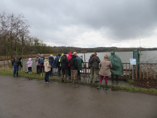 (JMZH) Les oiseaux hivernant sur le plan d'eau de l'Ailette (Neuville sur Ailette 02)