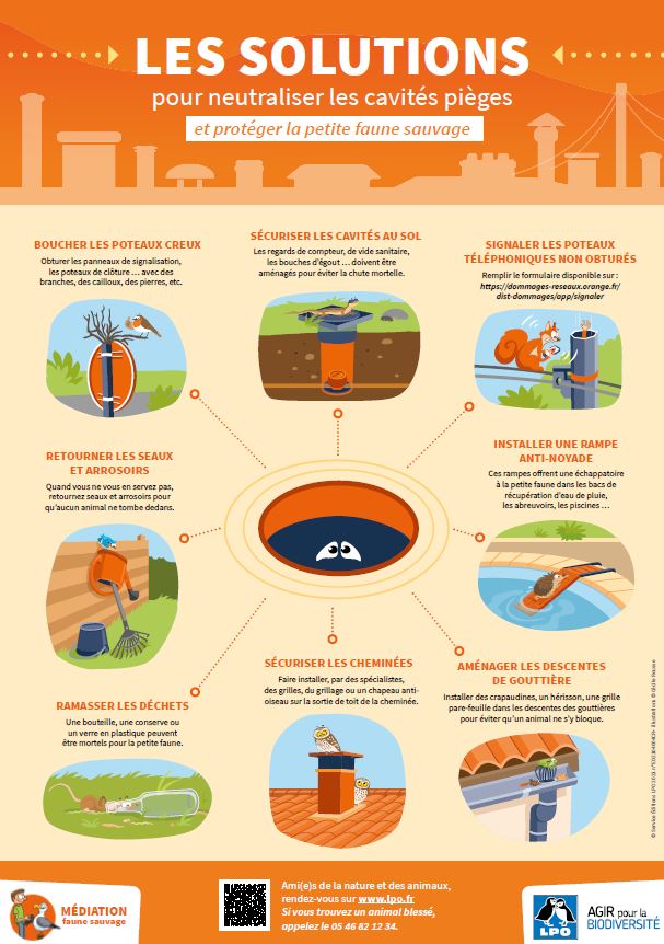 poster cavités pièges
