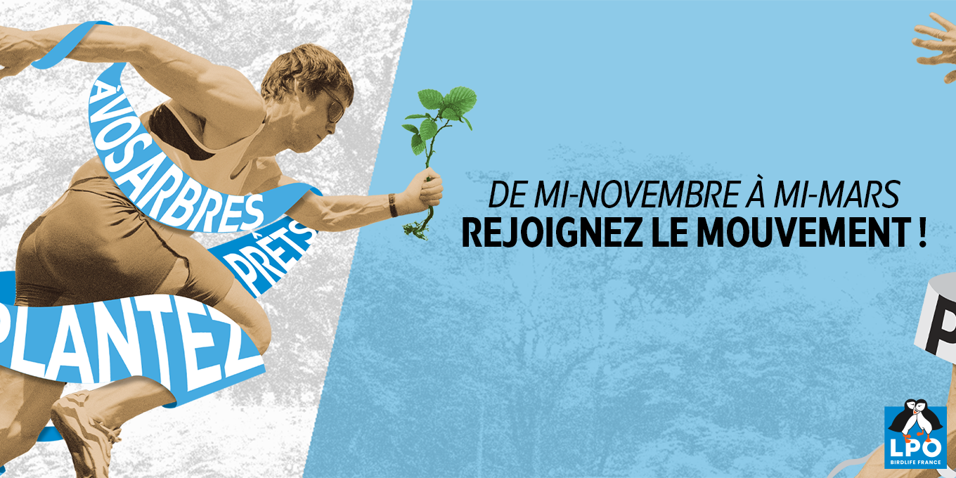 A vos arbres, prêts, plantez !