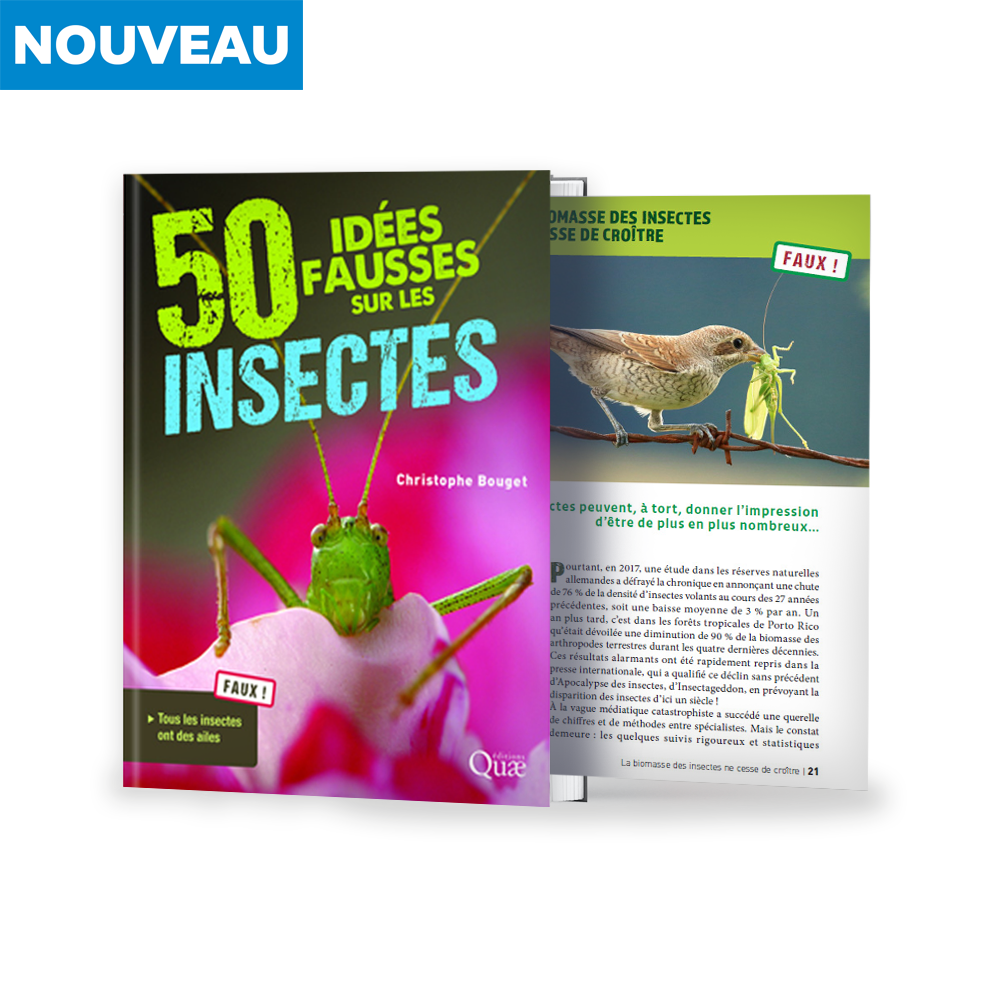 Découvrez le monde secret des insectes.