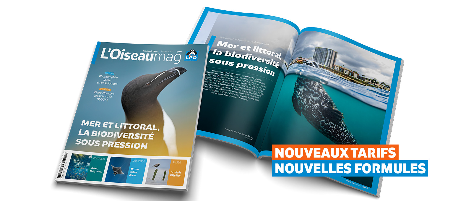 Nouvelle formule pour L’OISEAU MAG
