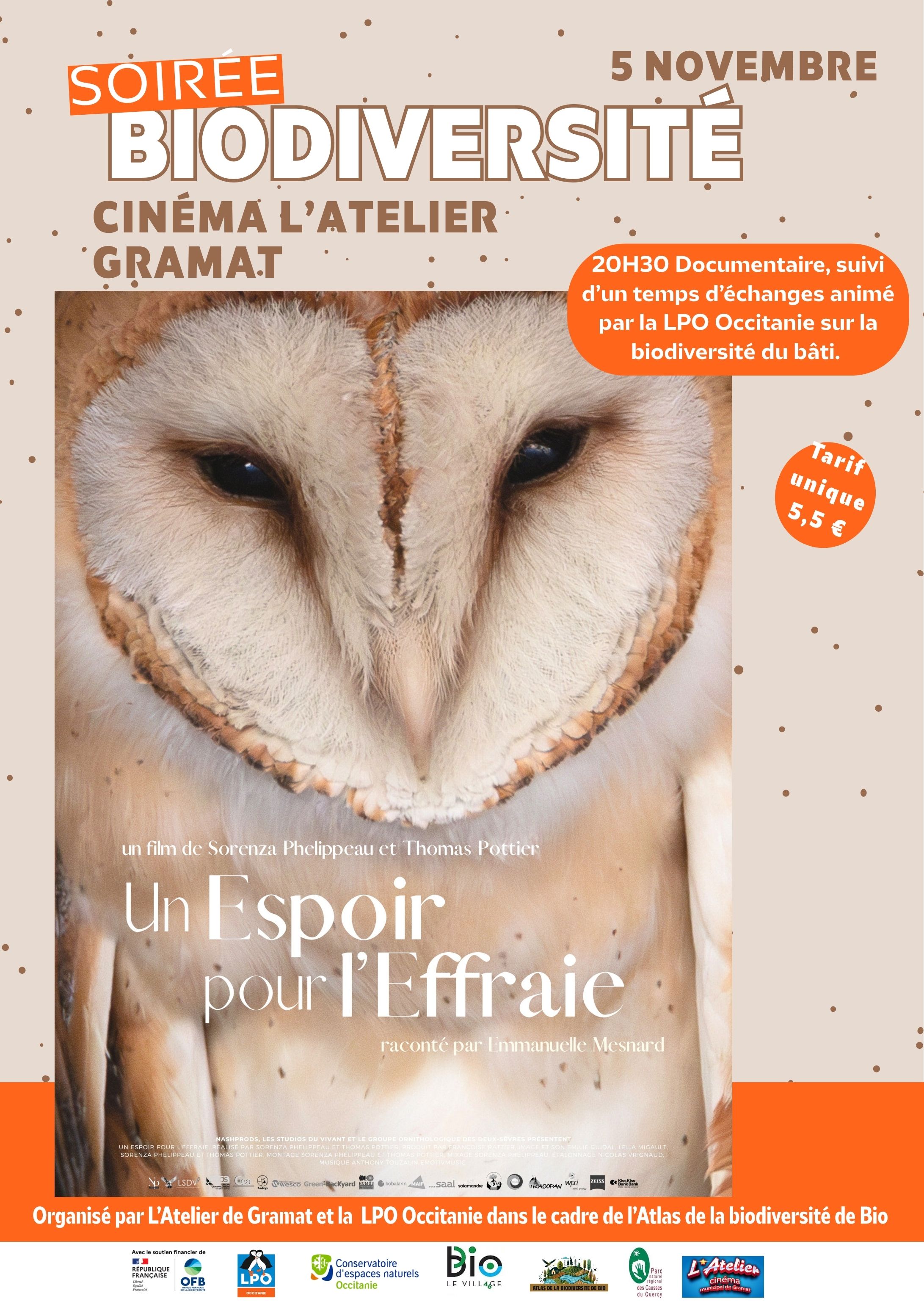Affiche du film