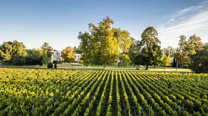 Château Belgrave : leur engagement pour la biodiversité