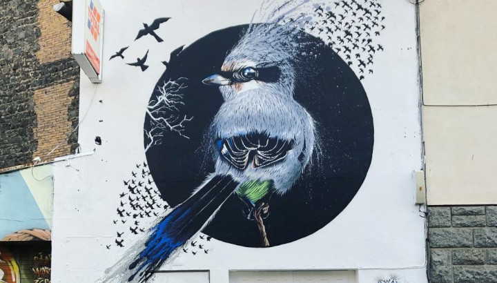 La nature peinte sur les murs en Auvergne