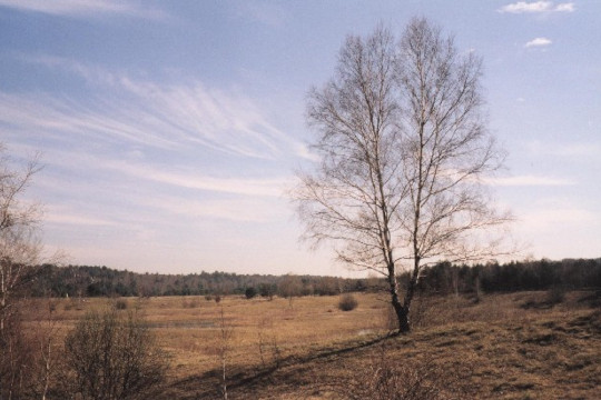plaine de Chanfroy