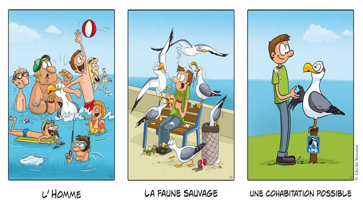 Médiation faune sauvage dans le Gard en 2026