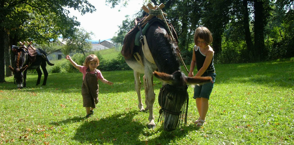 La Ferme pédagogique Marie' ânes propose des balades avec des ânes © Marie' ânes