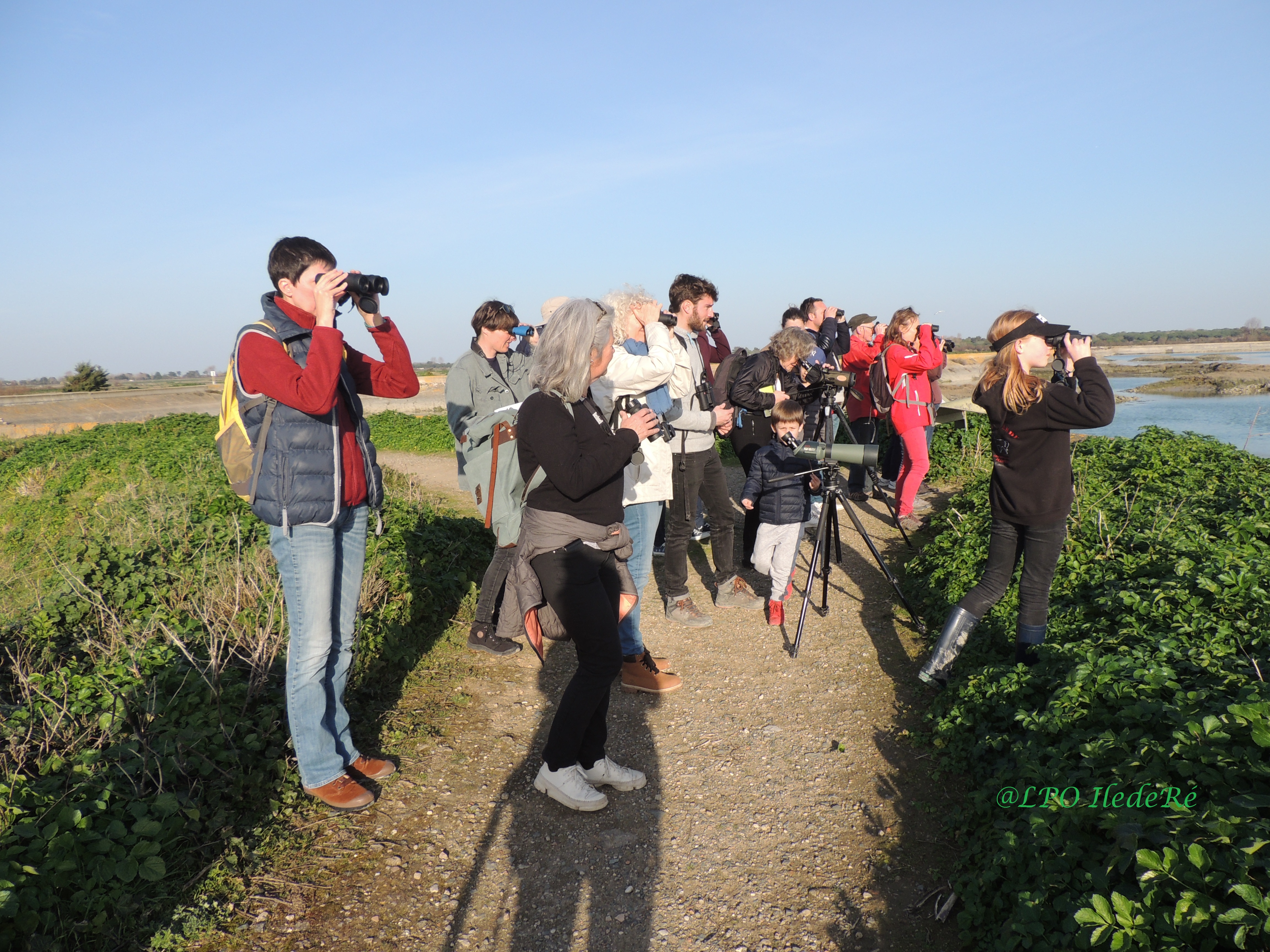 groupe observant les oiseaux sur la Réserve