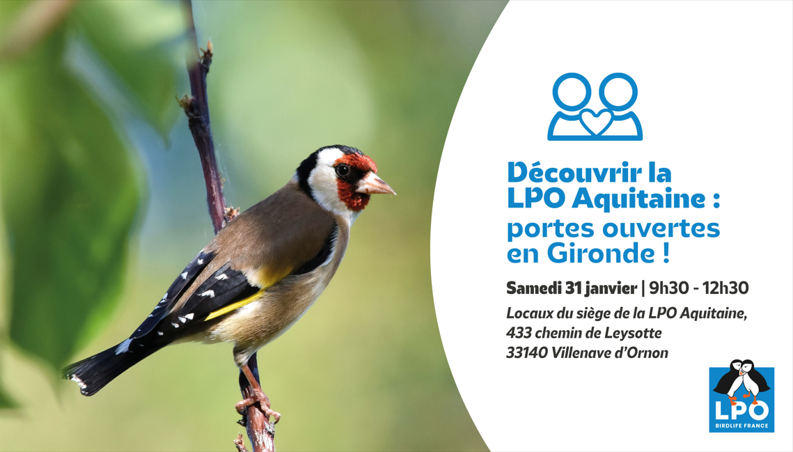 Découvrir la LPO Aquitaine :  matinée portes ouvertes en Gironde !
