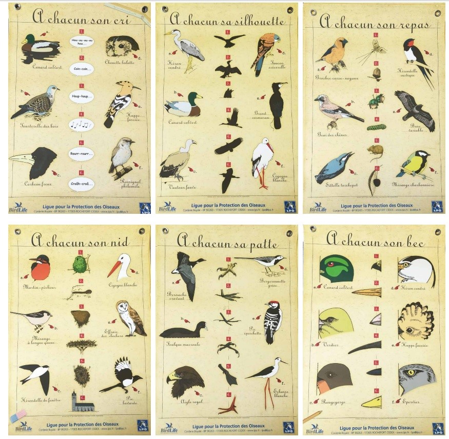 Jeu : A chacun son…