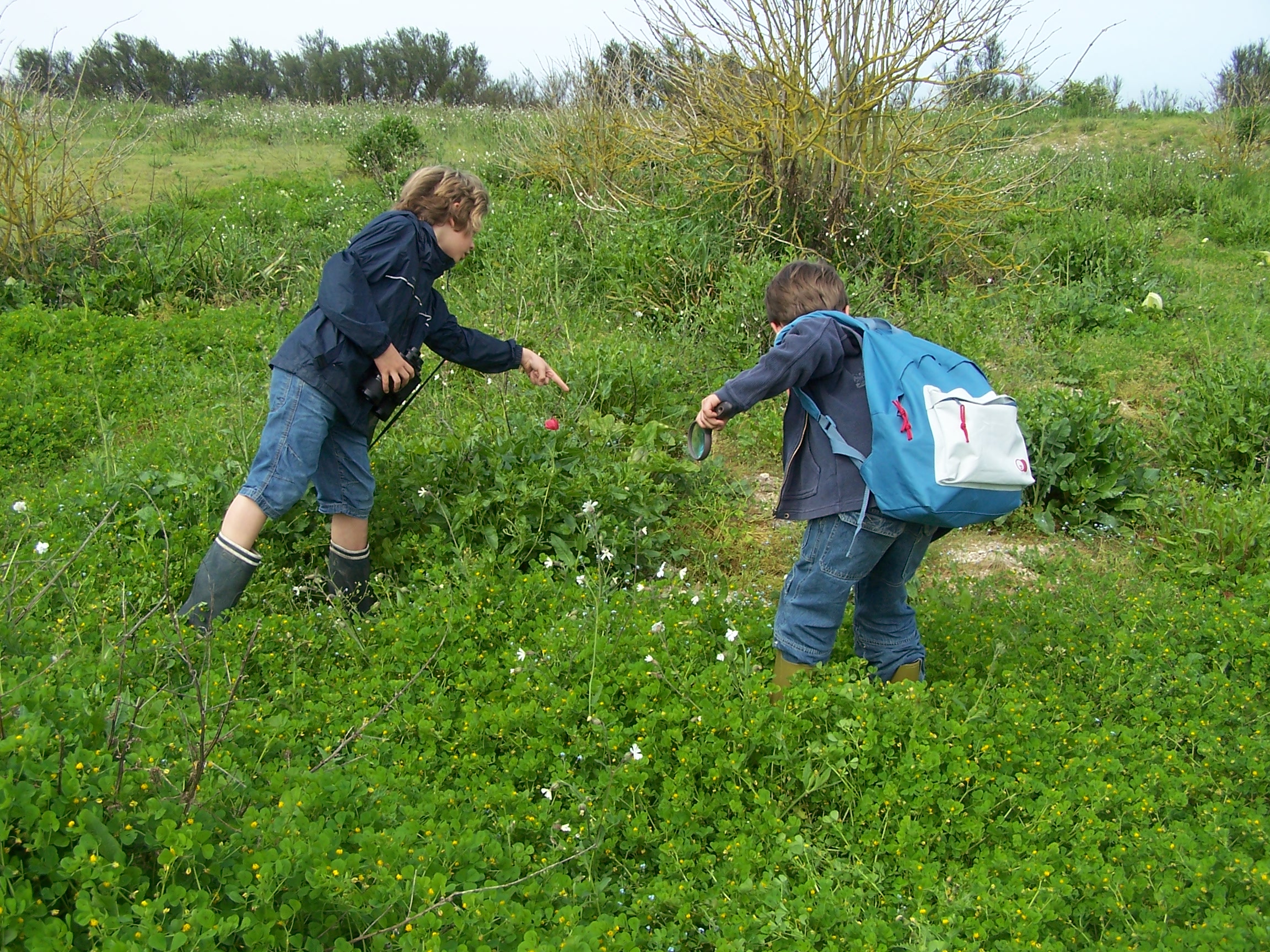 Sur les traces des animaux © Réserve naturelle du marais d'Yves